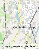 Via Carlo Alberto, 194,70019Triggiano