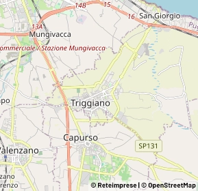 Mappa 70019 Triggiano BA, Italia (0.7855)