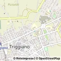 Harita Triggiano