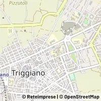 Peta Triggiano