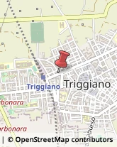 Corso Vittorio Emanuele, 226,70019Triggiano