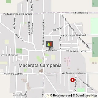 Agenti e Mediatori d'Affari Macerata Campania,81047Caserta