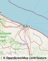 Cambia Valute Mola di Bari,70042Bari