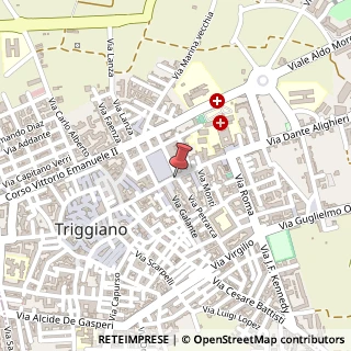Mappa Via Dante Alighieri, 112, 70019 Triggiano, Bari (Puglia)