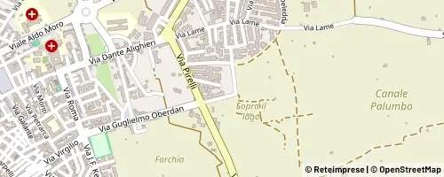 Mappa Triggiano