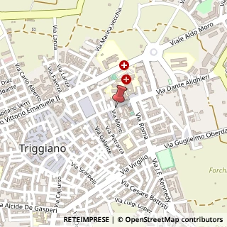 Mappa Via Dante Alighieri, 158, 70019 Triggiano, Bari (Puglia)