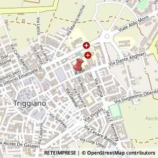 Mappa Via Dante Alighieri, 69, 70019 Triggiano, Bari (Puglia)