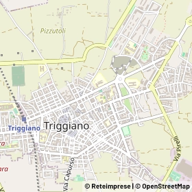 Mappa 70019