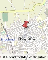 Corso Vittorio Emanuele, 115,70019Triggiano