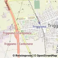 Hartă Triggiano