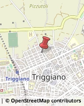 Via Sergente Maggiore Addante, 49,70019Triggiano