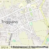 Map Triggiano