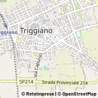 Karte Triggiano