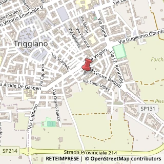Mappa Via Fabio Filzi, 95, 70019 Triggiano, Bari (Puglia)