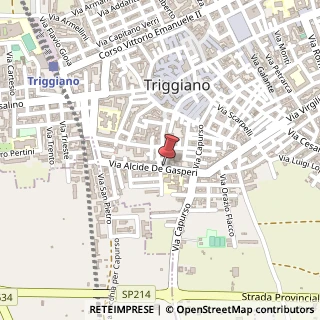 Mappa Via Alcide De Gasperi, 70019 Triggiano BA, Italia, 70019 Triggiano, Bari (Puglia)
