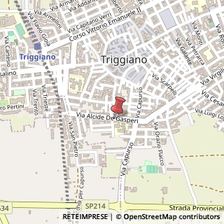 Mappa Via Alcide De Gasperi, 11, 70019 Triggiano, Bari (Puglia)
