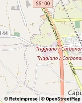 Cartolerie Triggiano,70019Bari