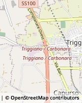 Agenzie Immobiliari Triggiano,70019Bari