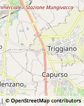 Agenzie Immobiliari Capurso,70010Bari