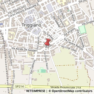 Mappa Via Virgilio, 173, 70019 Triggiano, Bari (Puglia)