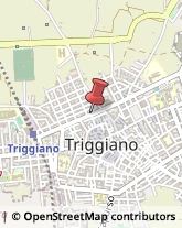 Corso Vittorio Emanuele, 126,70019Triggiano