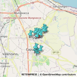 Mappa Via Fabio Filzi, 70019 Triggiano BA, Italia (0.99846)
