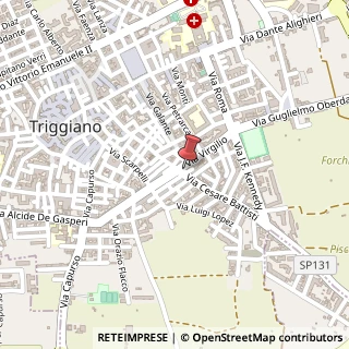 Mappa Via Virgilio, 95, 70019 Triggiano, Bari (Puglia)