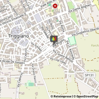 Commercialisti Triggiano,70019Bari