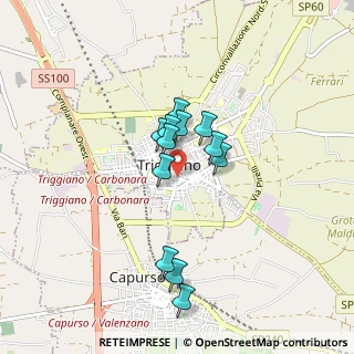 Mappa Via Molino a Vapore, 70019 Triggiano BA, Italia (0.71)