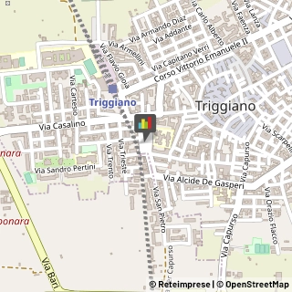 Ingegneri Triggiano,70019Bari