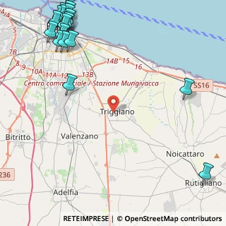 Mappa Via Don Luigi Sturzo, 70019 Triggiano BA, Italia (7.48526)
