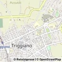 Kort Triggiano
