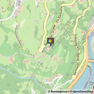 Succhi di Frutta e Verdura Barbiano,39040Bolzano