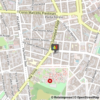 Imbalsamatori Vercelli,13100Vercelli