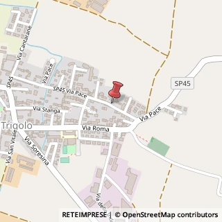 Mappa Via Pace, 121, 26018 Trigolo, Cremona (Lombardia)