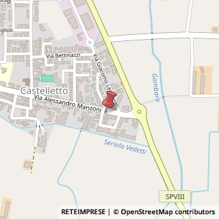 Mappa Via A. Manzoni, 164, 25024 Leno, Brescia (Lombardia)