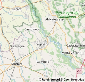 Mappa Viale Monte Grappa, 27029 Vigevano PV, Italia (7.8025)