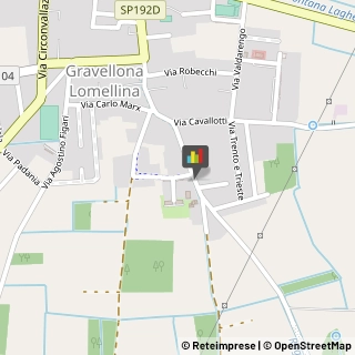 Consulenze Speciali Gravellona Lomellina,27020Pavia