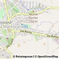Carte Volta Mantovana