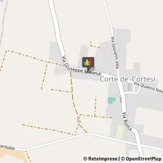 Ferro Corte de' Cortesi con Cignone,26020Cremona