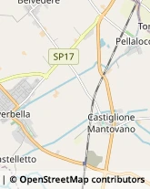 Aziende Sanitarie Locali (ASL) Mantova,46100Mantova