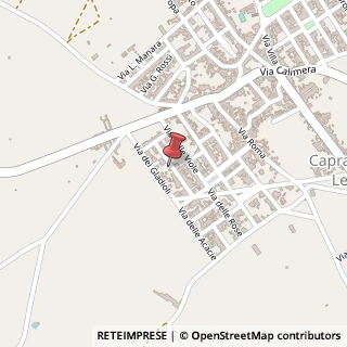Mappa Via delle margherite, 73010 Caprarica di Lecce, Lecce (Puglia)