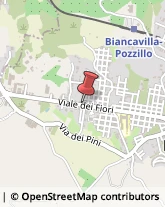 Viale Dei Fiori, 69,95033Biancavilla