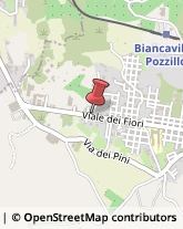 Viale dei Fiori, 160,95033Biancavilla