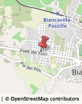 Viale dei Fiori, 122,95033Biancavilla