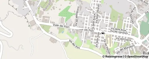 Mappa Biancavilla