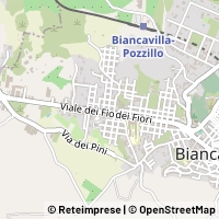Map Biancavilla