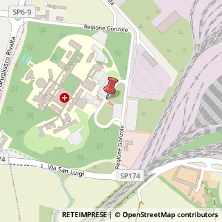 Mappa Ospedale San Luigi, 10043, 10043 Sanatorio San Luigi TO, Italia, 10043 Orbassano, Torino (Piemonte)