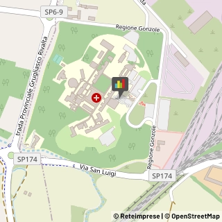 Pronto Soccorso Orbassano,10043Torino