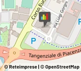 Cinema e Televisione - Regia e Sceneggiatura,29100Piacenza